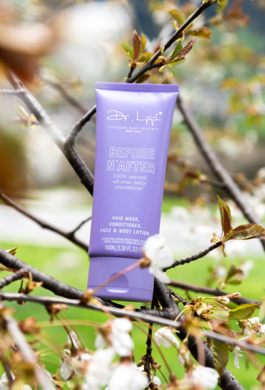 From evening to morning with the Before N’ After